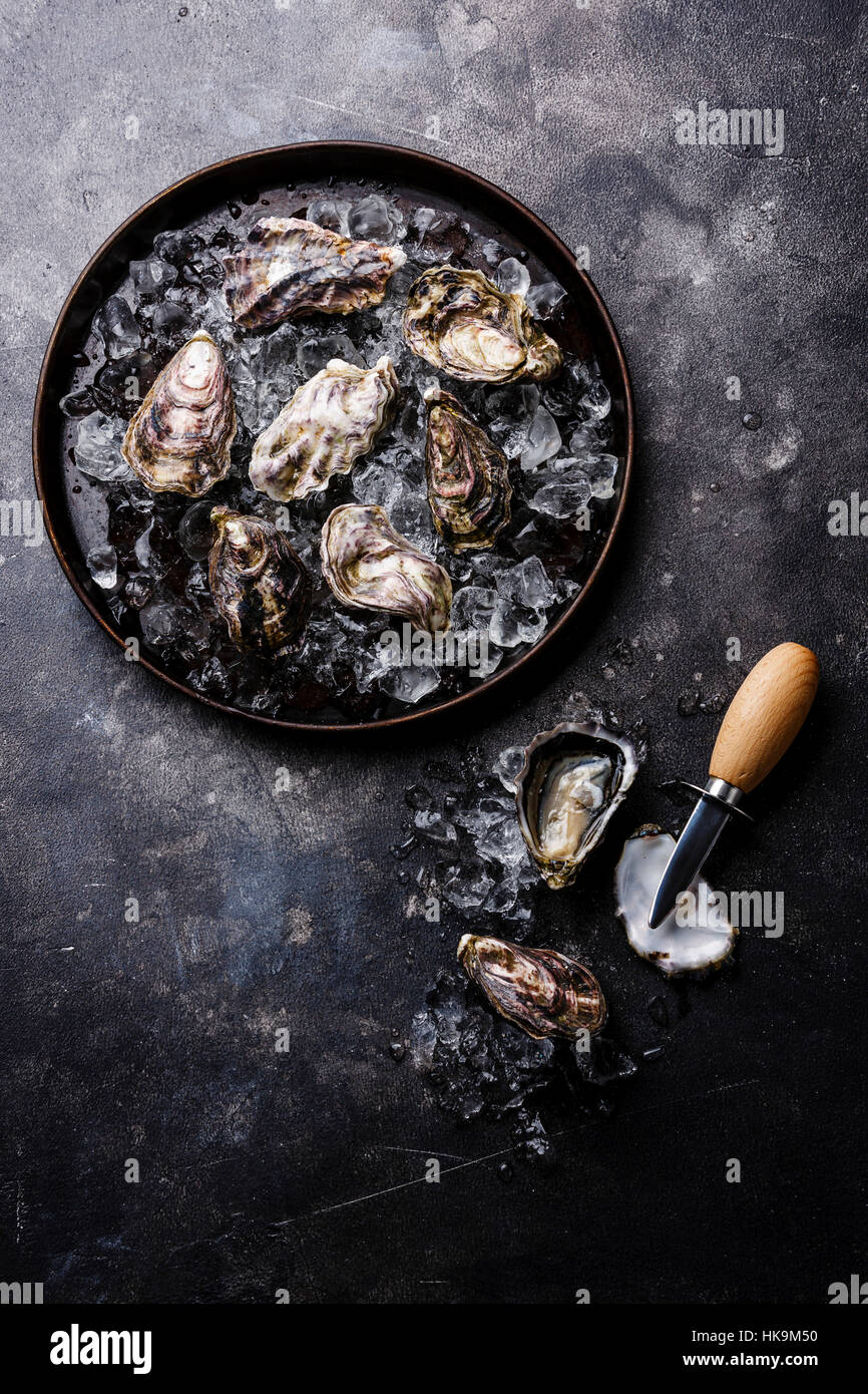 Les huîtres sur la glace en plaque sur pierre sombre texture background copy space Banque D'Images