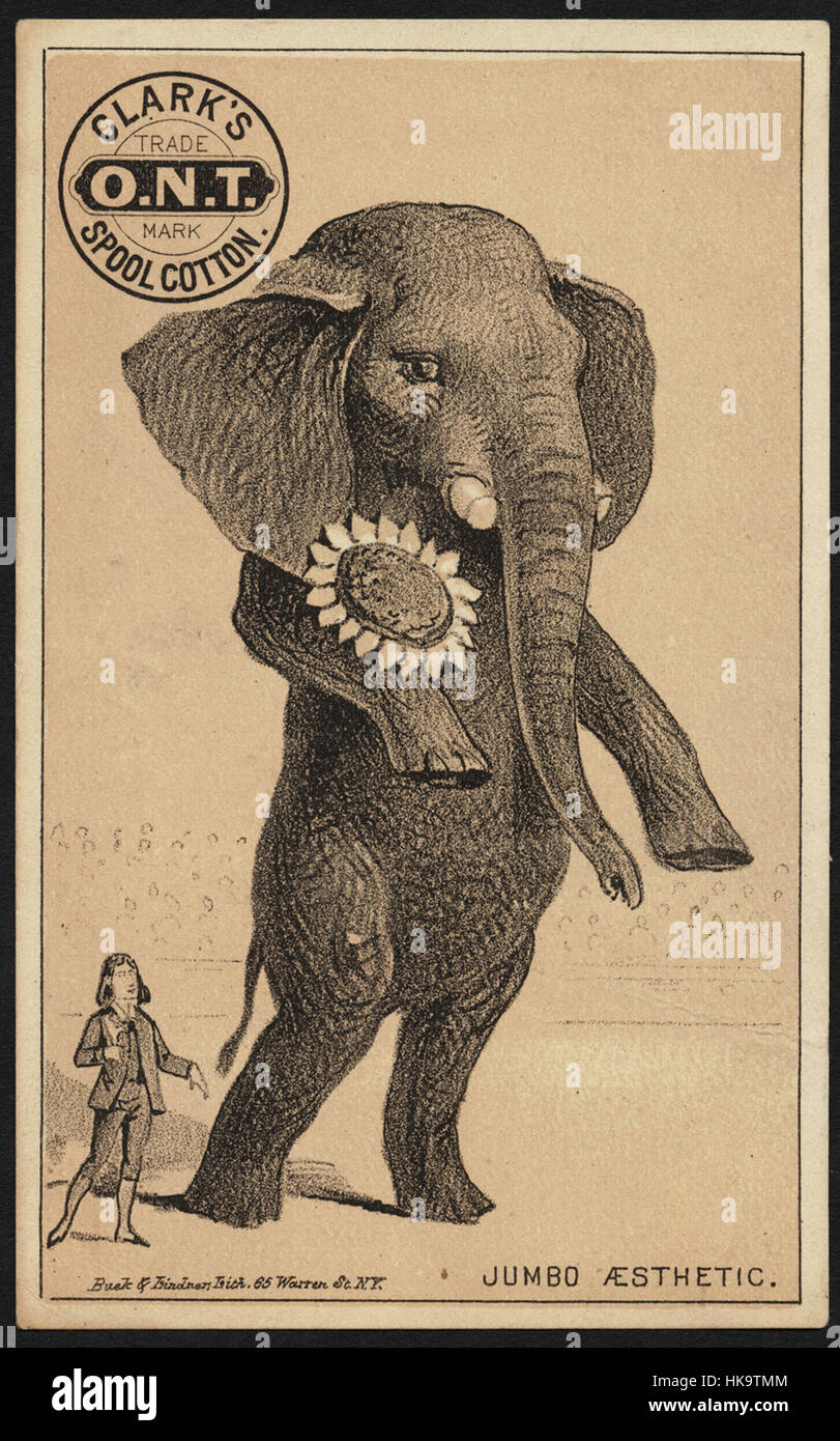 Esthétique Jumbo. Clark's O.N.T. Coton tiroir Banque D'Images