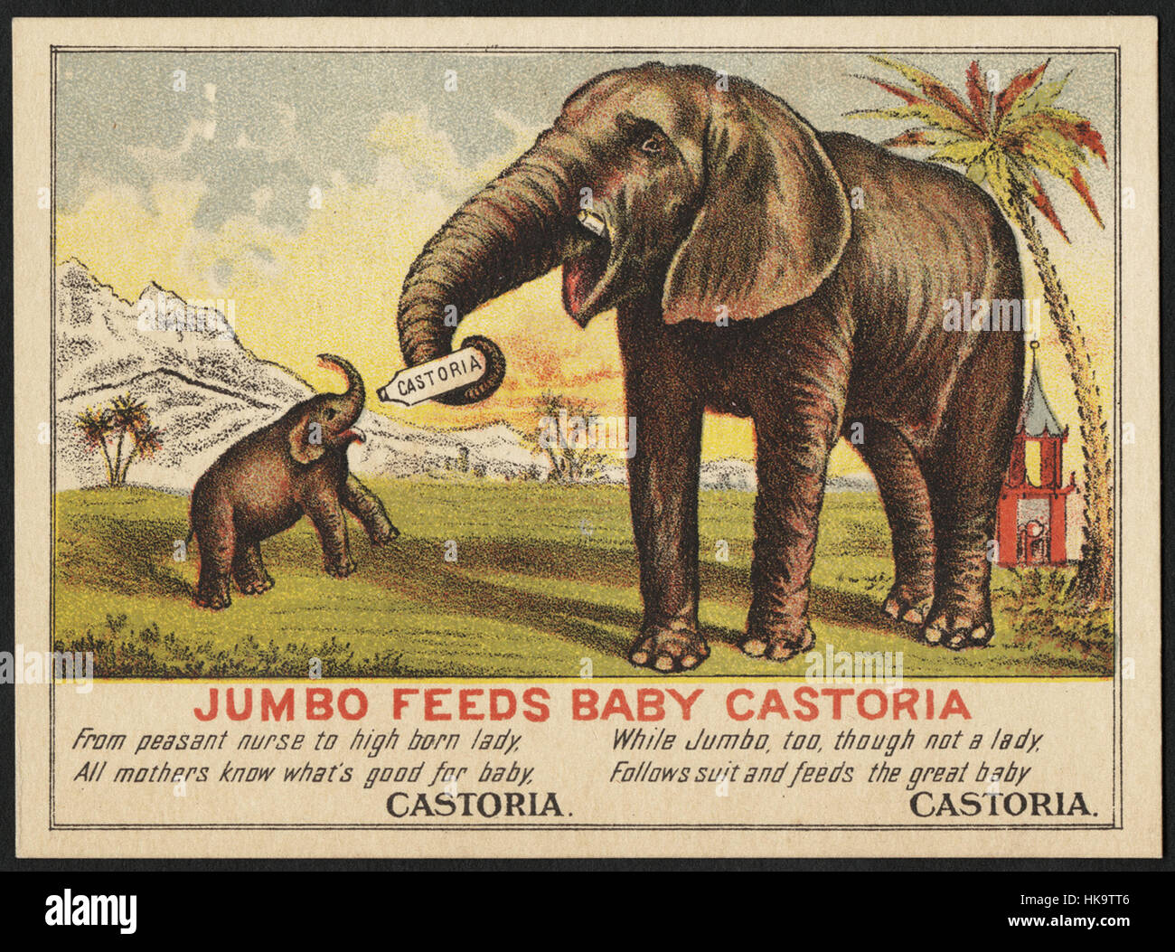 Rss Jumbo Castoria bébé (avant) Banque D'Images