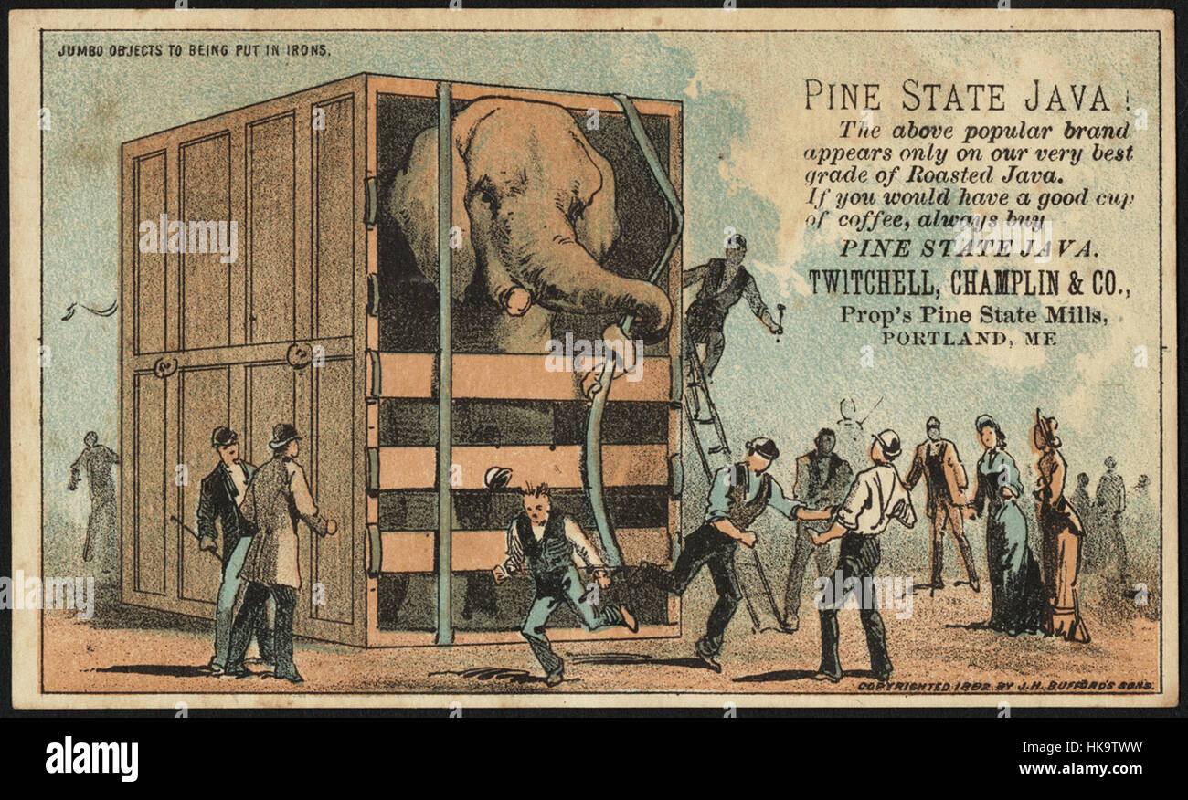 Les objets à être mis aux fers. - Pine State Java. Banque D'Images