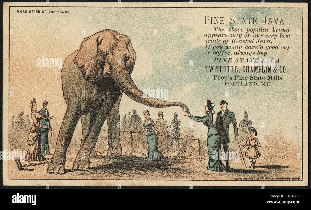 Atteindre Jumbo pour des bonbons. - Pine State Java. Banque D'Images