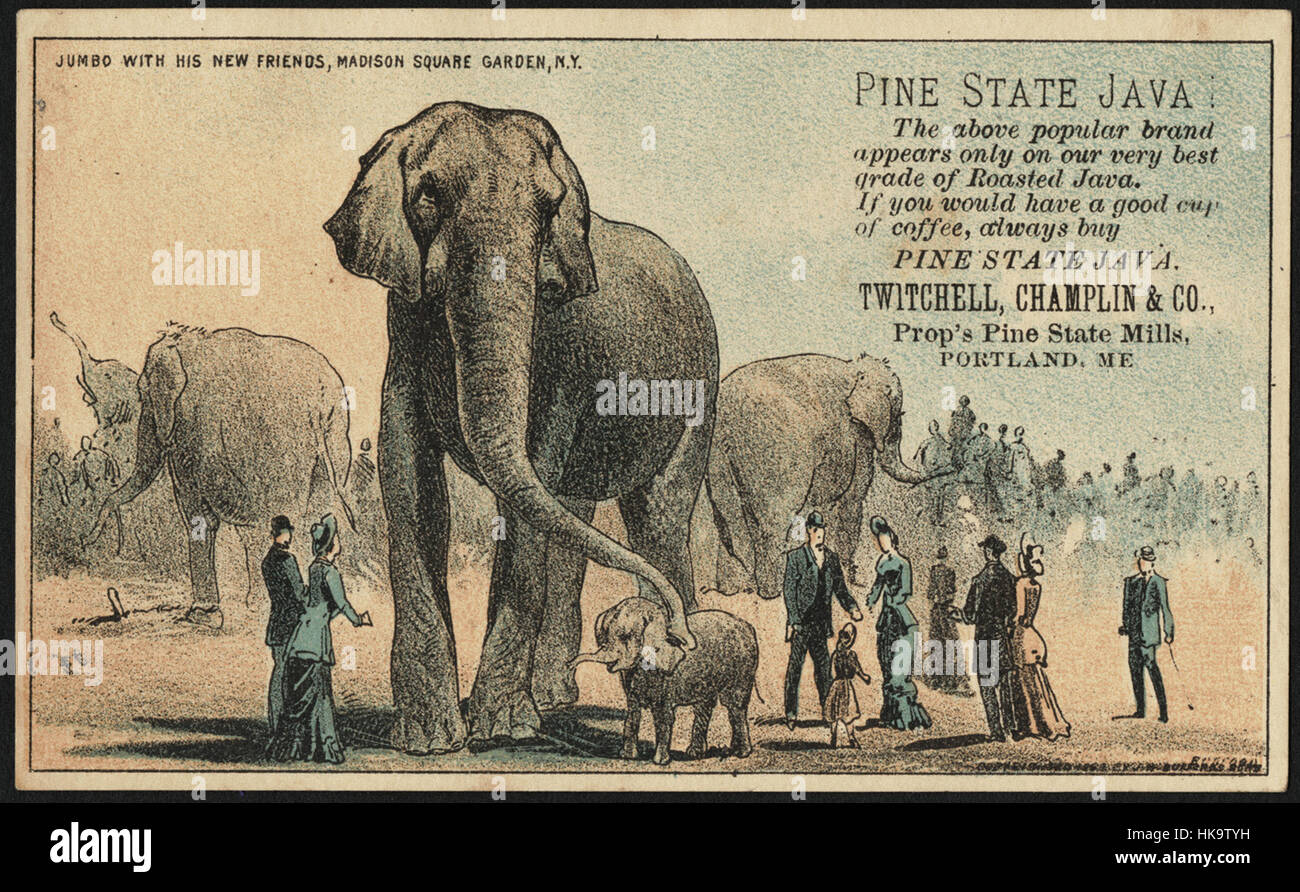 Jumbo avec ses nouveaux amis, Madison Square Garden, N. Y. - Pine State Java. Banque D'Images