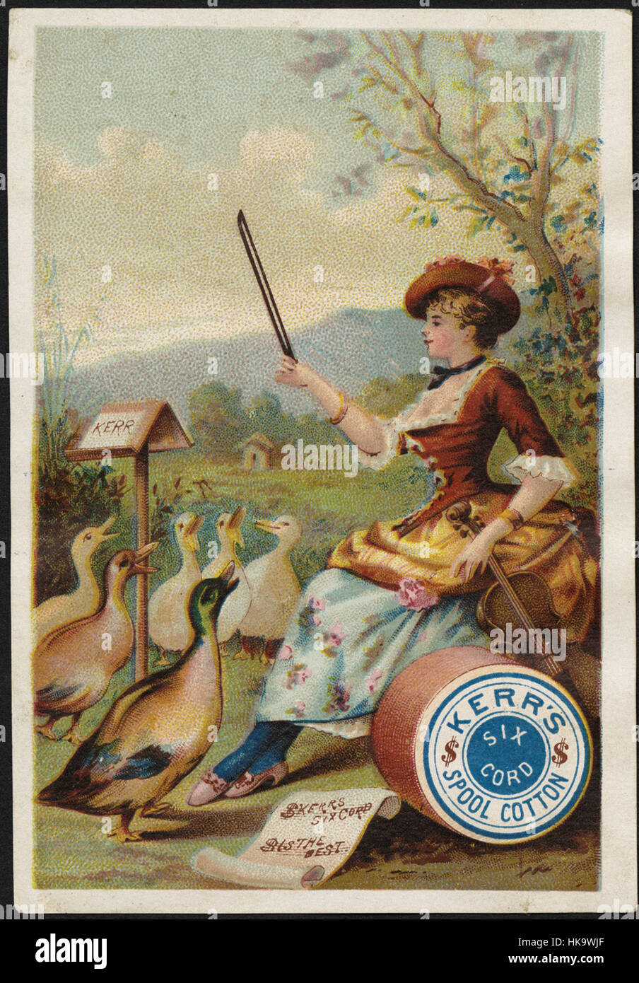 Kerr, Cordon coton Tiroir 6. Kerr's cordon 6 est la meilleure. Banque D'Images