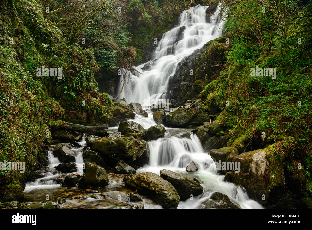 Cascade de Torc Parc national de Killarney Comté de Kerry Irlande Banque D'Images