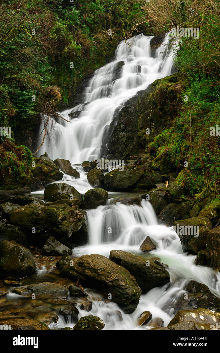 Torc Waterfall dans le Parc National de Killarney, comté de Kerry, Irlande Banque D'Images