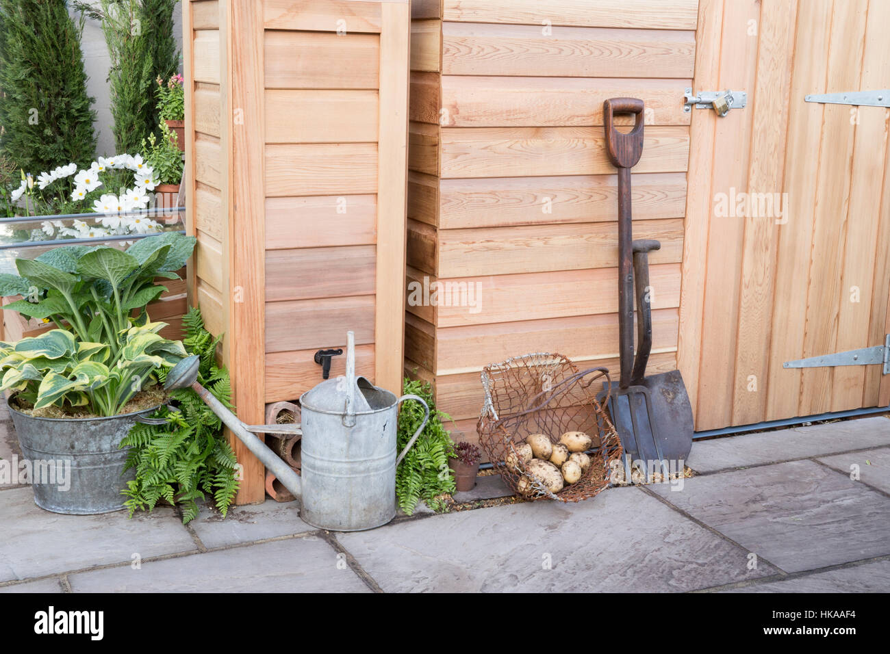 Abri de jardin avec des outils de jardinage Banque D'Images