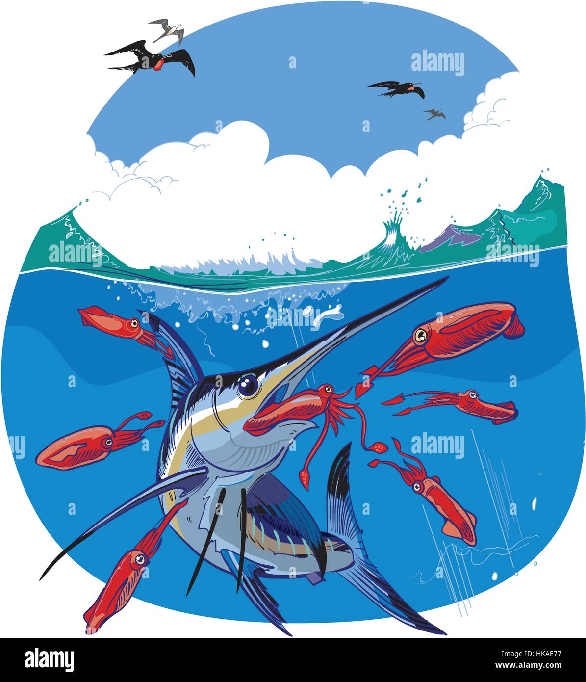Vector cartoon clip art illustration d'un marlin bleu à la poursuite du poisson et de manger du calmar rouge sous l'eau tandis que les frégates voler dans le ciel au-dessus. Illustration de Vecteur