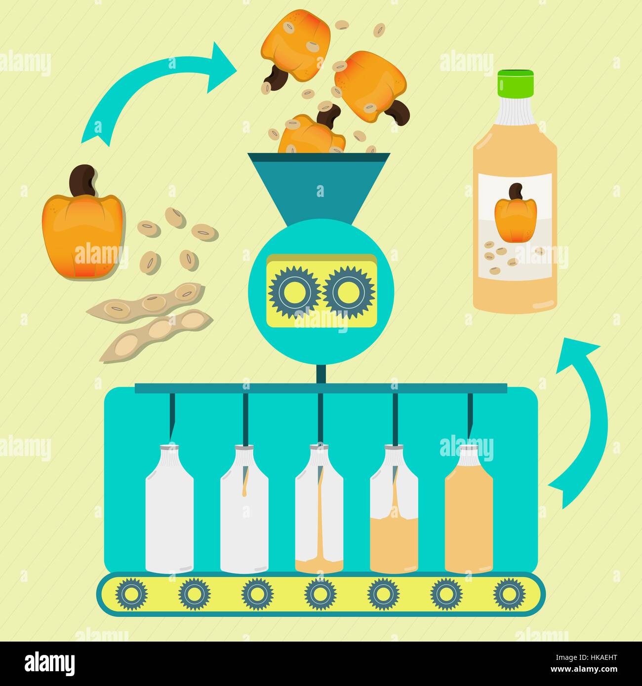 Jus de cajou et de soja La production en série. Cajou frais et de soja soja avec pod en cours de traitement. Cajou embouteillée et jus de soja. Illustration de Vecteur