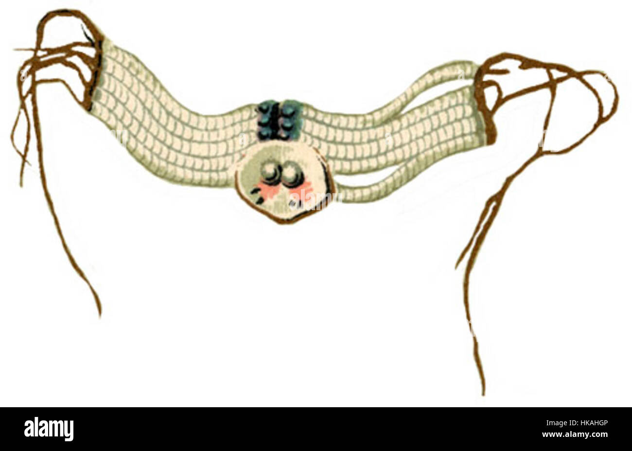 Vêtements indiens : SEI AVEC COLLIER DE COQUILLAGES DE LA MÉDECINE DEPUIS LE GOLFE DU MEXIQUE Banque D'Images