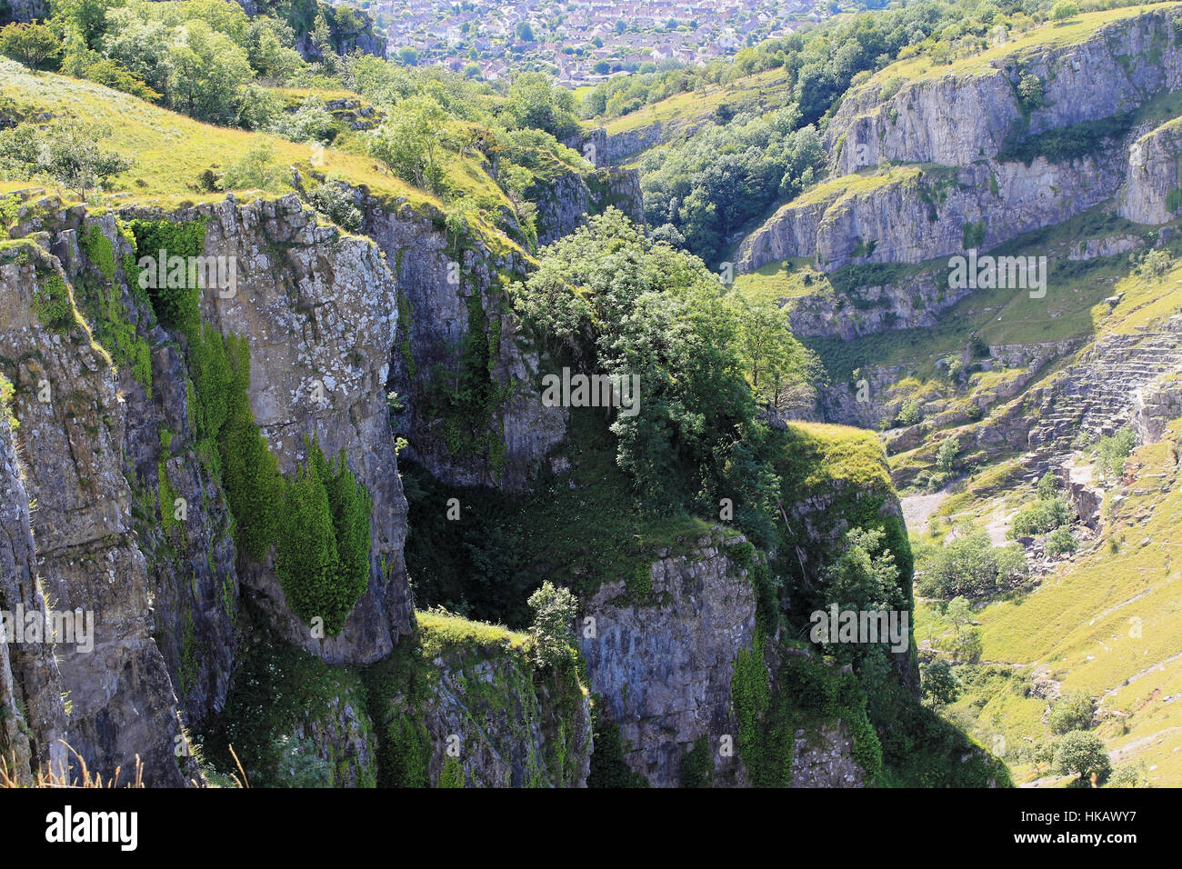 Haut de Mendip Hill dans les gorges de Cheddar, Somerset, Angleterre Banque D'Images