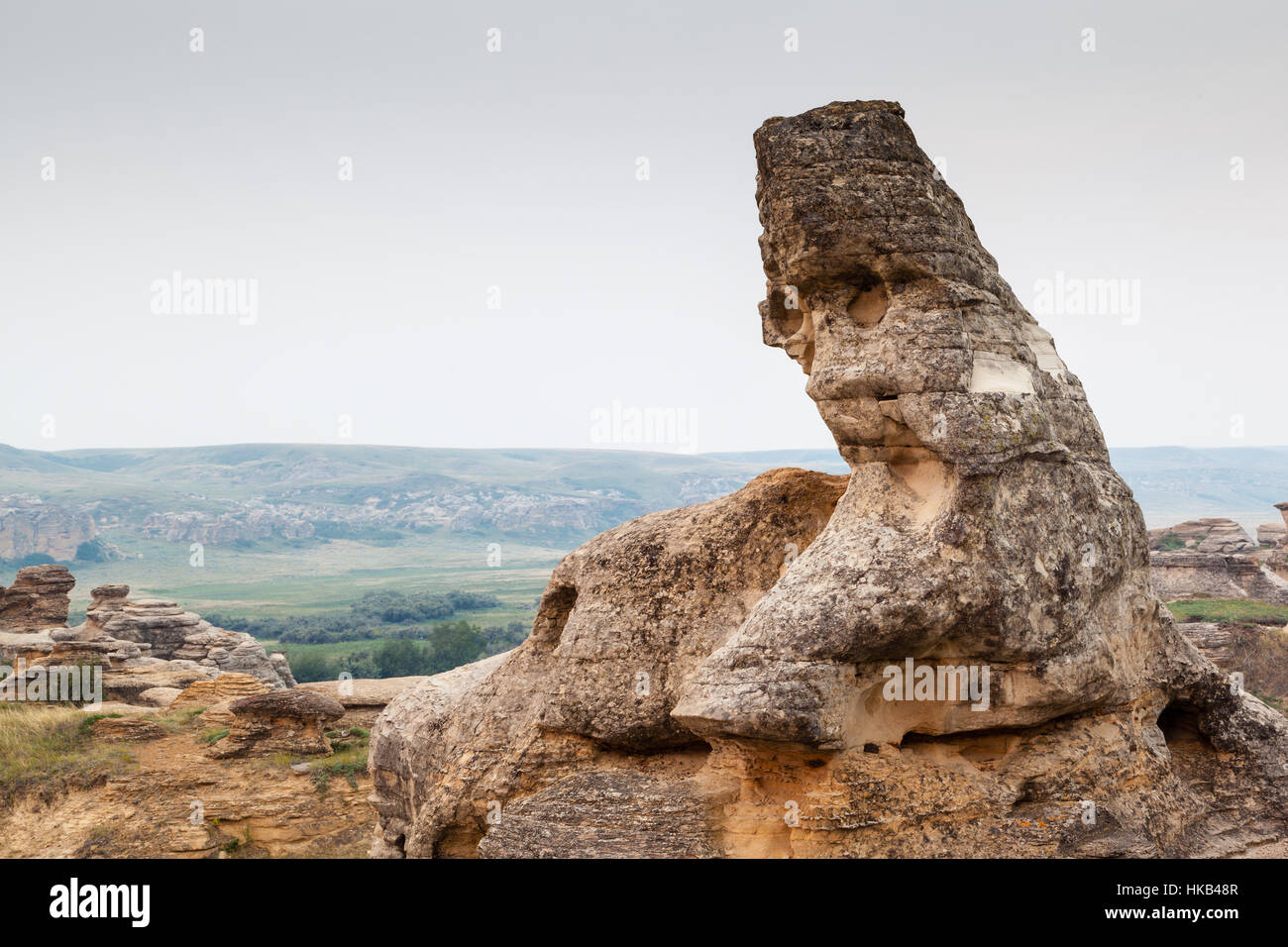 Hoodoo badlands du Parc provincial Writing-on-Stone et Aisinaipi Site historique national en Alberta, Canada. Banque D'Images