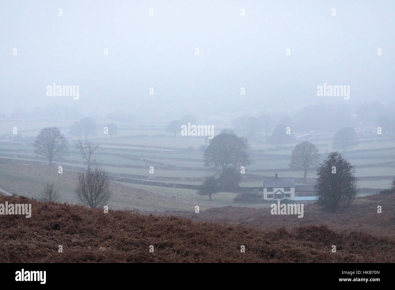 Un chalet dans le village de Rhes-y-CAE, Flintshire entouré par le brouillard verglaçant Banque D'Images