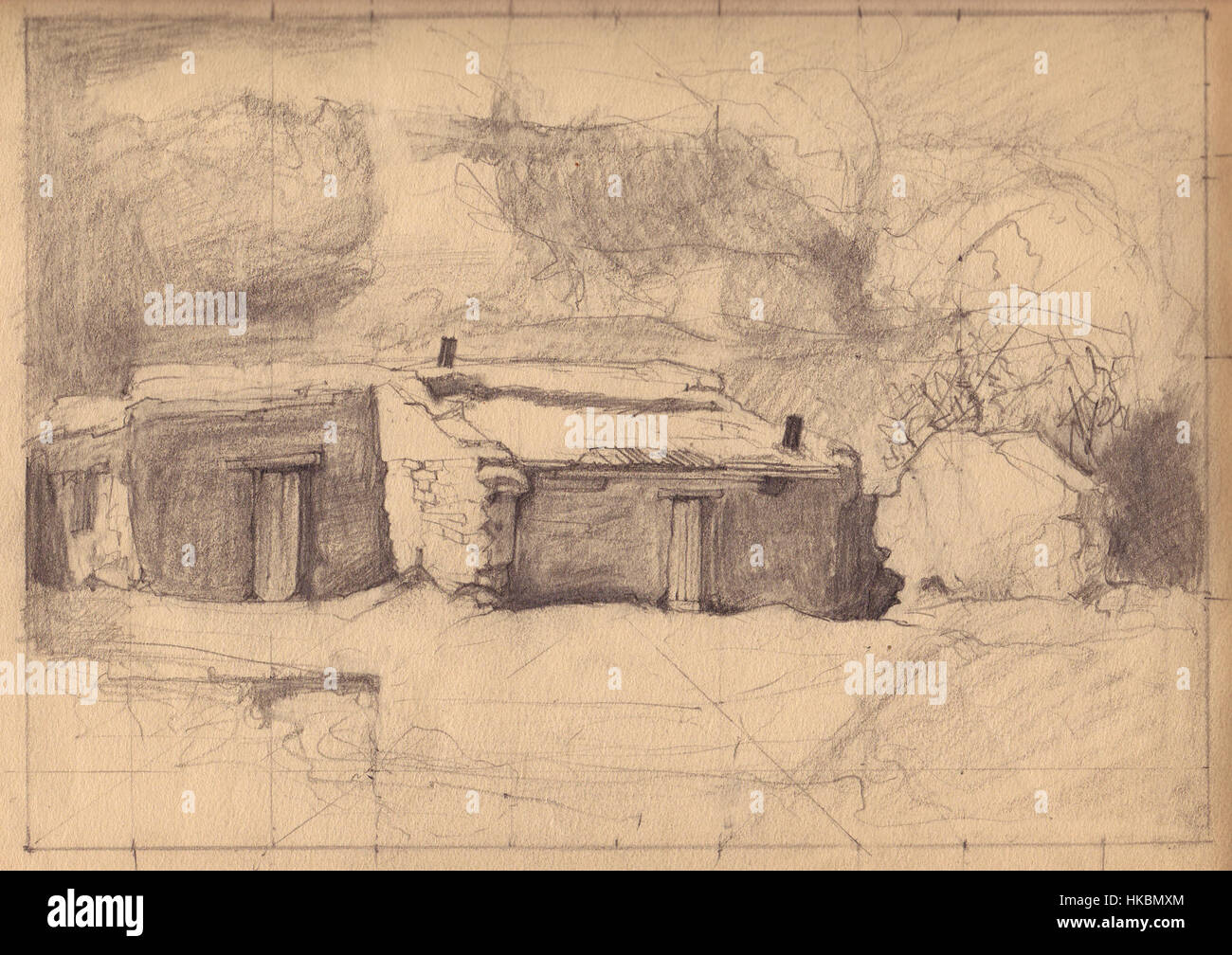 Ce dessin de Charles Bolsius, un artiste connu pour ses illustrations botaniques, capture les détails complexes de la vie végétale avec des lignes et des ombres précis. Ses rendus détaillés soulignent la beauté et la complexité des formes naturelles. Banque D'Images