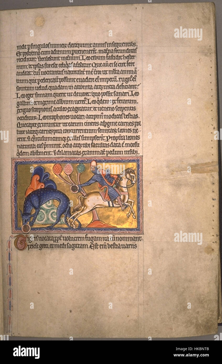 Le Bestiaire d'Aberdeen, Folio 008r, comprend une représentation détaillée et vibrante d'un tigre. Ce manuscrit médiéval, datant du XIIe siècle, met en valeur l'art et l'iconographie animale de l'époque, avec des couleurs vives et des motifs complexes. Banque D'Images
