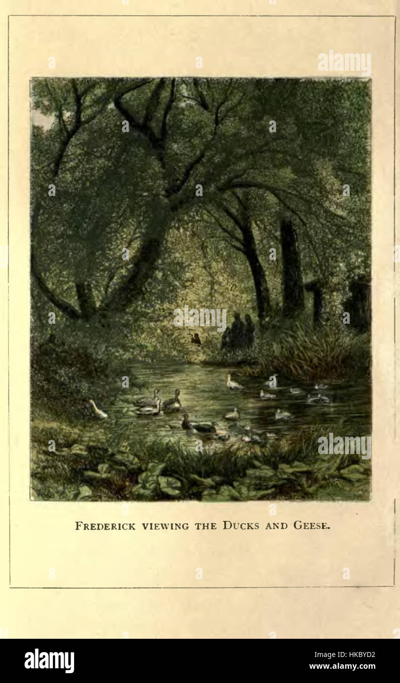 Frederick Affichage des canards et oies Banque D'Images