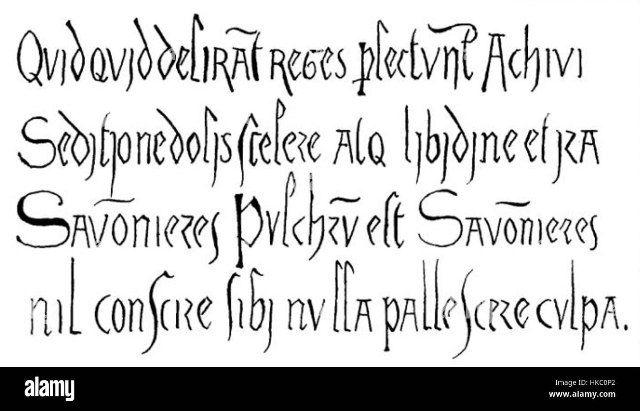 Cette illustration historique tirée du livre 'histoire Donjon Loches' décrit l'importance architecturale et historique du château de Loches en France. Connue pour son rôle dans l'histoire médiévale de la France, l'image capture la conception du bastion de la forteresse et son importance stratégique. Banque D'Images