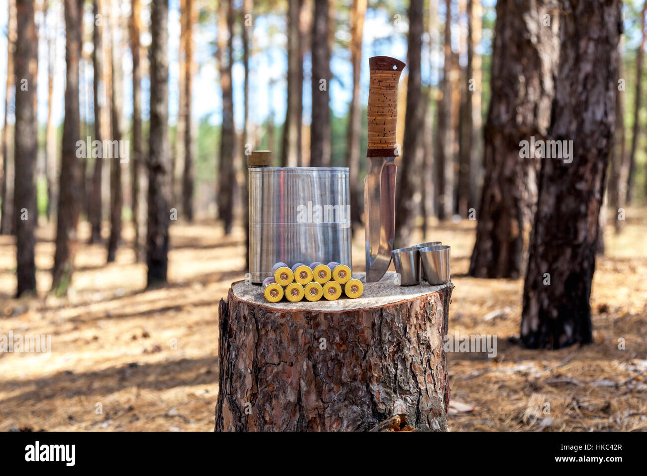 Hunter couteau. Ensemble d'hunter couteau, metal tasse et matchs sur le moignon dans la forêt. Banque D'Images