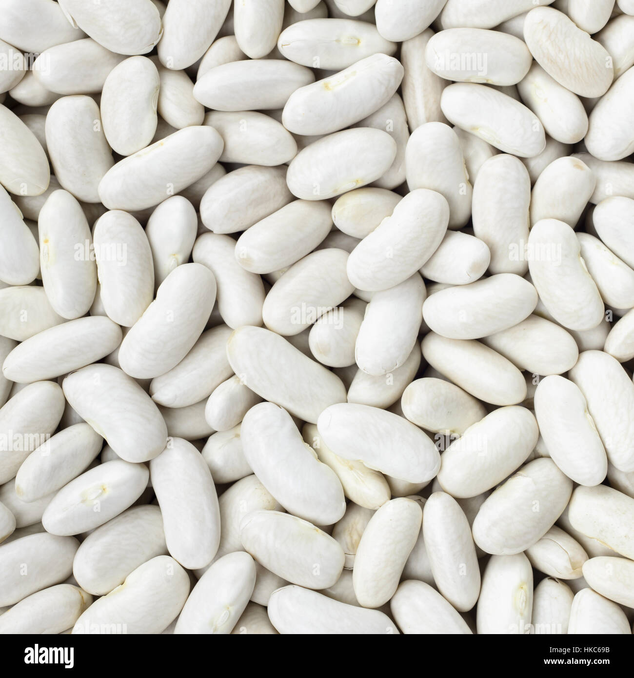 Marine, haricot, pois blancs, les blancs ou les haricots CANNELLINI texture background ou d'un motif. Légumineuse brutes de la nourriture. Banque D'Images