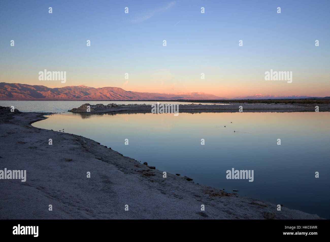 Paysage lac Salton oasis du désert dans le désert californien Banque D'Images