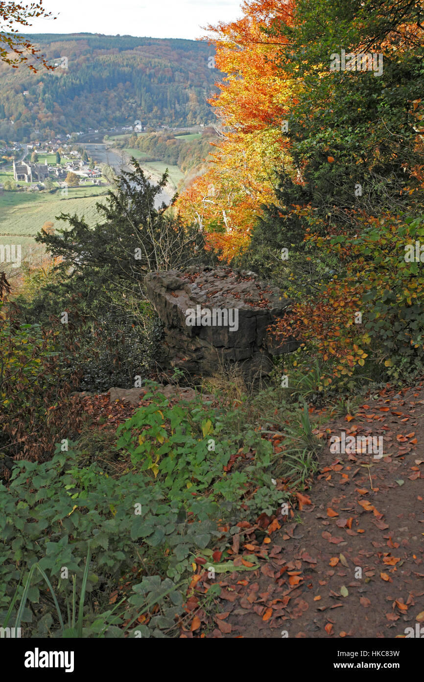 La chaire du diable, Tintern, forêt de Dean. Banque D'Images