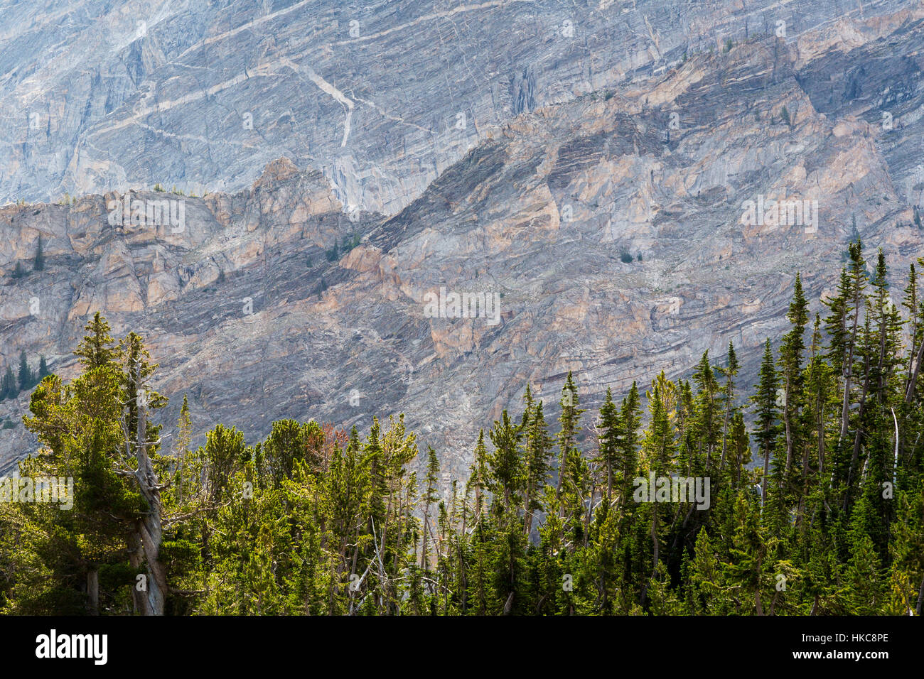 Couches de gneiss bagués création de motifs abstraits dans la région de Paintbrush Canyon dans le Teton Mountains. Parc National de Grand Teton, Wyoming Banque D'Images