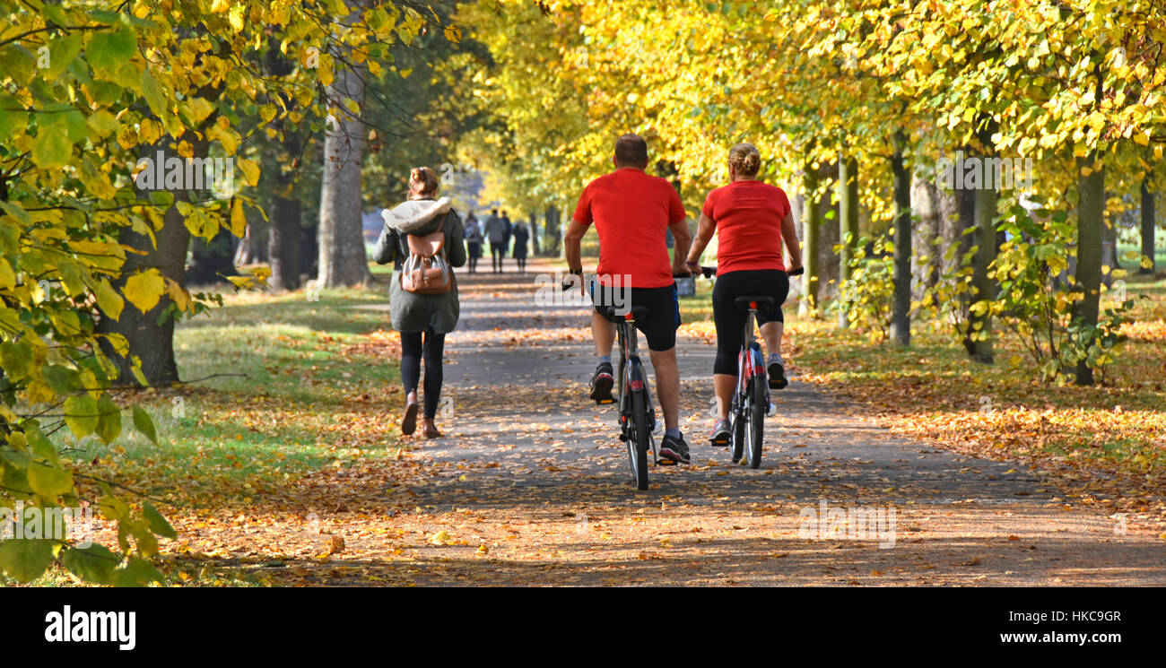 Couple sur Santander louer un vélo pour se promener à vélo sur la piste cyclable partagée autorisée dans Kensington Gardens London England uk les feuilles d'automne dans le Parc Royal Banque D'Images
