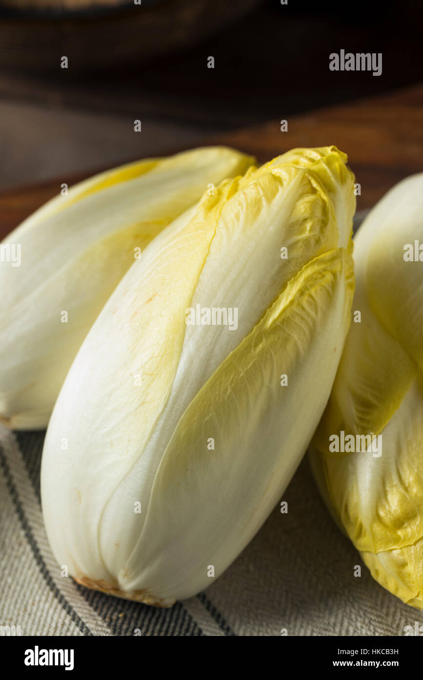 Les endives biologiques crus prêt à manger Banque D'Images