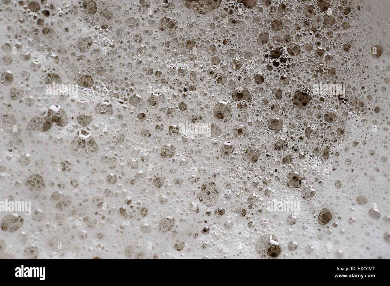 Bulles de macro sur la bière dans le verre de mousse Banque D'Images