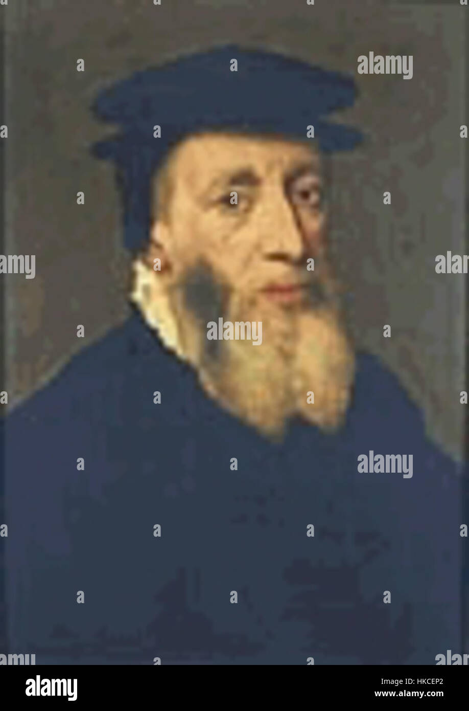 Cette œuvre est un portrait de John Knox, réformateur écossais du XVIe siècle et fondateur de l'Église presbytérienne. La peinture reflète son rôle important dans la réforme protestante et son influence sur la vie religieuse et sociale écossaise. Banque D'Images