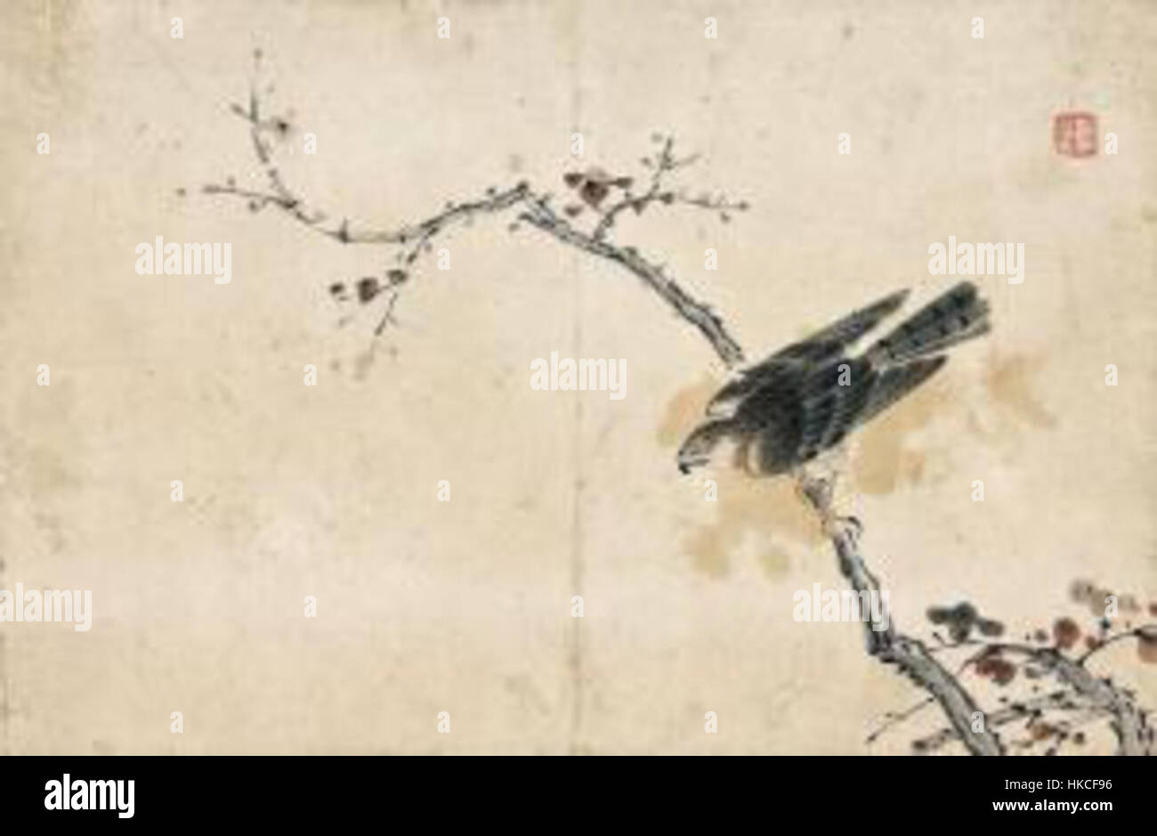 Kim Duk sin, fleurs, oiseaux Banque D'Images