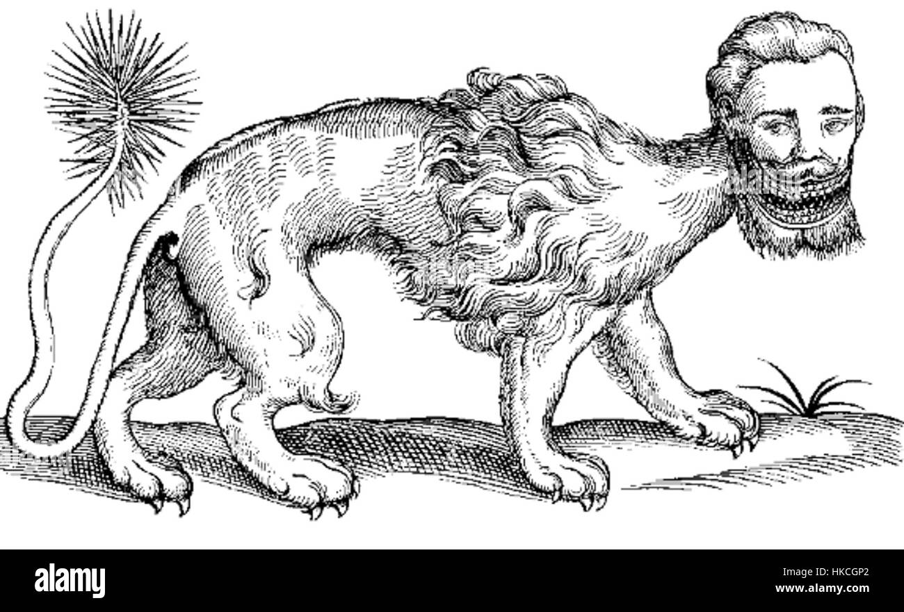 Une illustration du Manticora de l'ouvrage de Topsell de 1607, 'The History of four-Foot Beasts', mêlant mythe et permis Banque D'Images