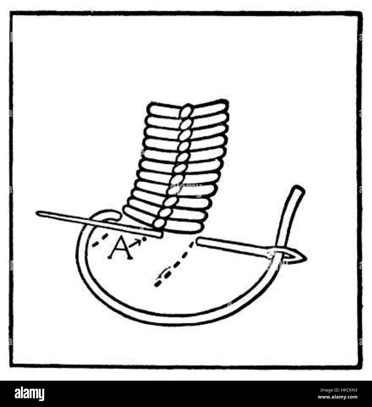 Le point roumain est une technique de broderie traditionnelle connue pour ses motifs complexes et ses couleurs éclatantes. Il a une riche histoire culturelle en Roumanie, souvent utilisé dans l'art populaire et l'artisanat textile pour créer des motifs décoratifs. Banque D'Images