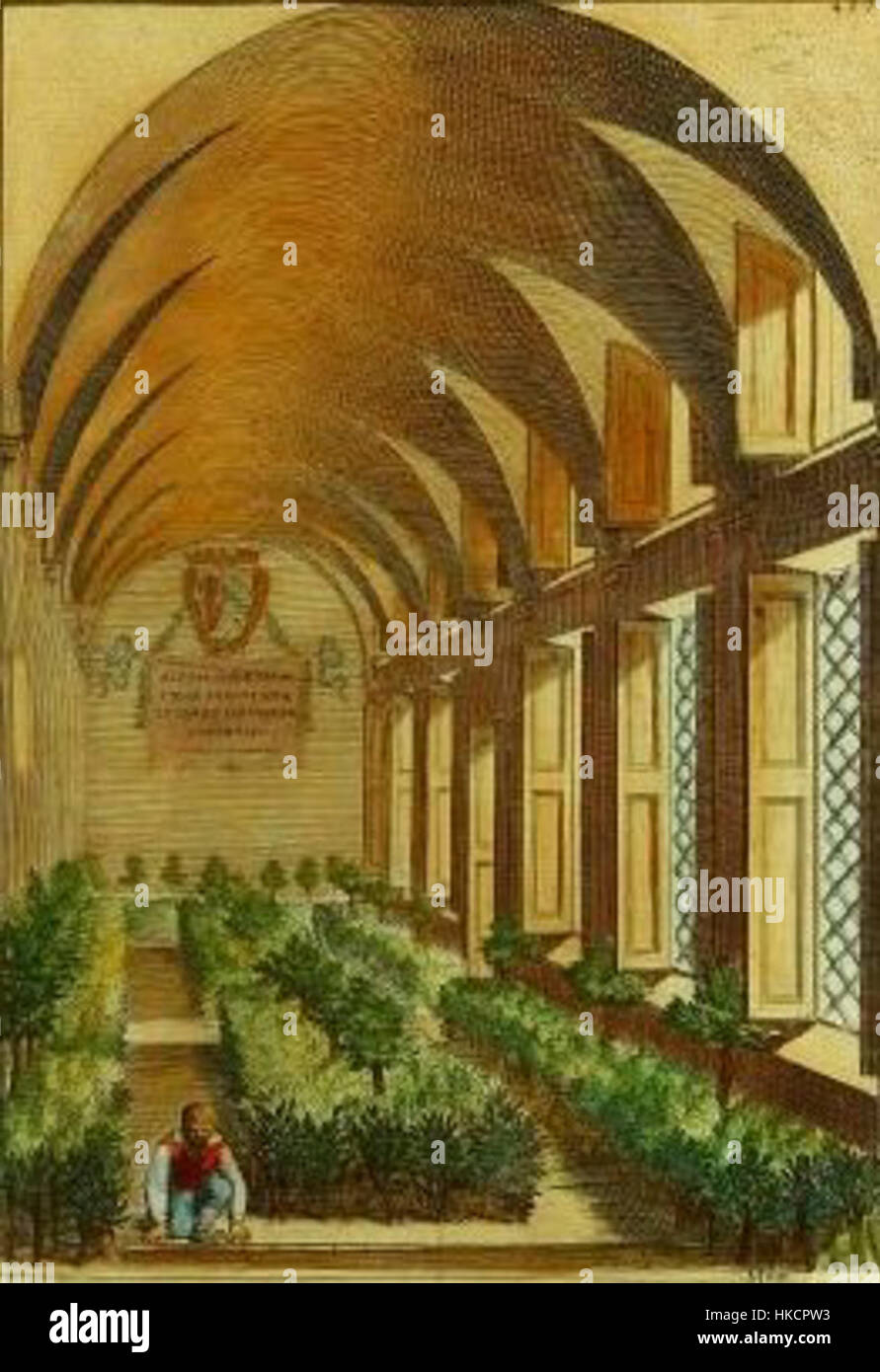 Le 'Zitruskultur' de Giovanni Battista Ferrari est un traité botanique sur la culture des agrumes. Cet ouvrage du XVIIe siècle présente des illustrations détaillées de diverses espèces d'agrumes et constitue une référence importante dans l'histoire de l'agriculture et de la botanique. Banque D'Images