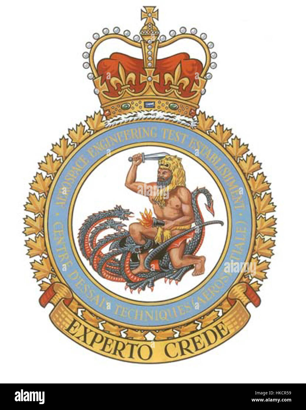 La peinture « Crest AETE » est une œuvre artistique significative qui représente une figure ou une scène symbolique, peut-être liée à l'héraldique ou à la représentation historique. L'accent mis sur les détails complexes de la conception de l'écusson reflète l'habileté de l'artiste à représenter des symboles visuels du patrimoine et de l'histoire. Banque D'Images