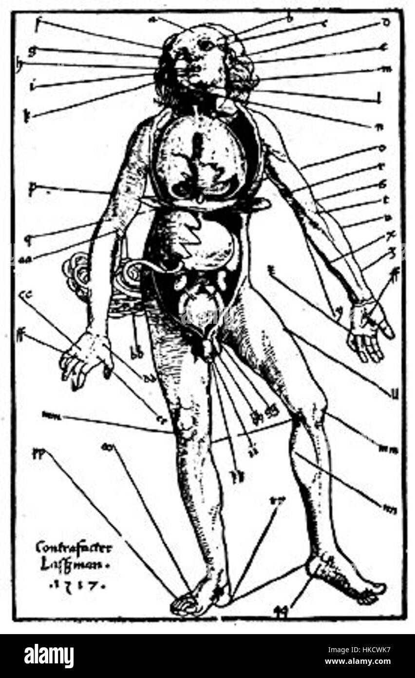 Cette peinture, qui représente la pratique de la saignée, offre une perspective historique sur les traitements médicaux des siècles passés. Il met en évidence la pratique autrefois courante qui était censée rétablir l'équilibre du corps. Banque D'Images
