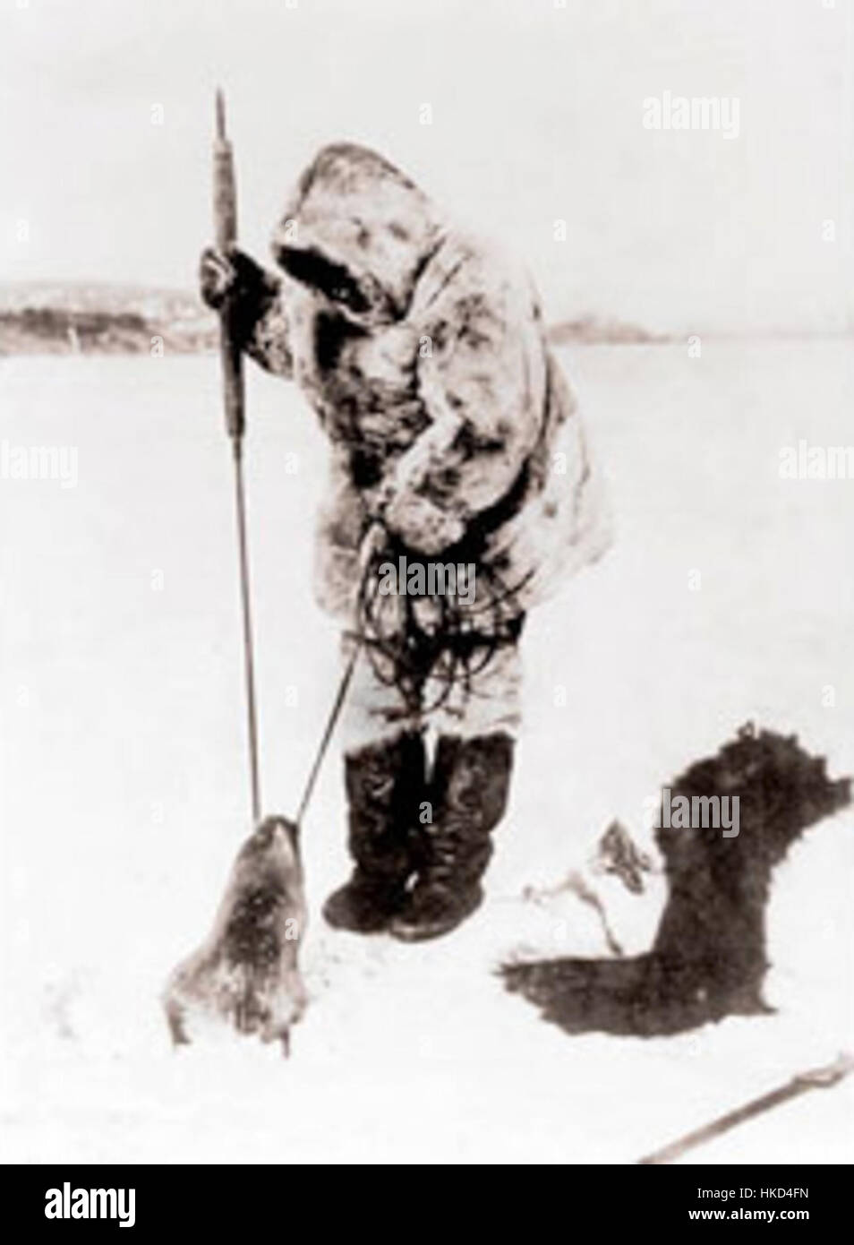 Cette œuvre d'art représente un chasseur de phoques inuit en tenue traditionnelle, capturant l'essence des pratiques autochtones de chasse dans l'Arctique. La peinture met en évidence les compétences et la résilience des Inuits dans leurs efforts pour survivre dans le rude environnement nordique. Banque D'Images