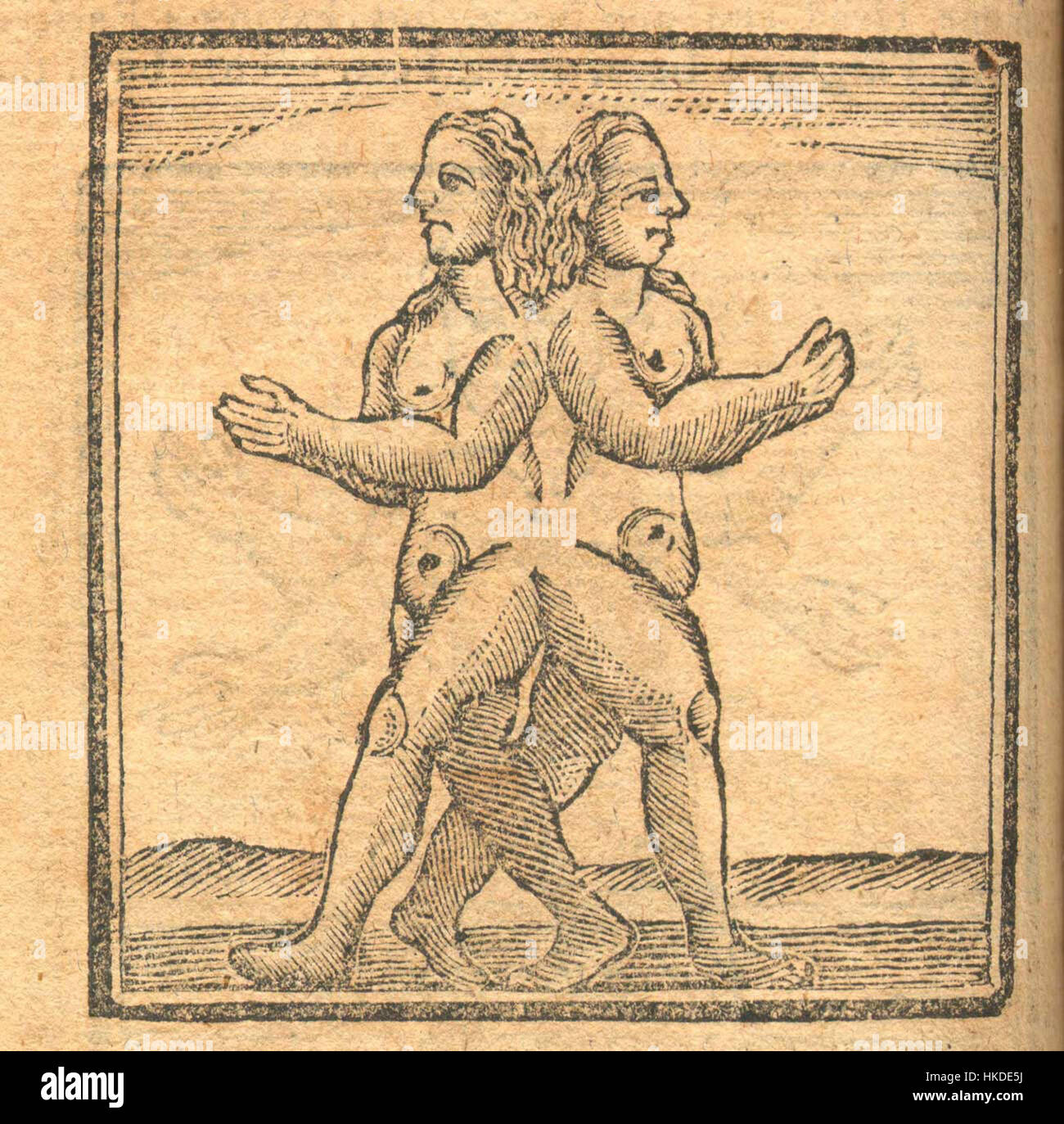 Cette œuvre, attribuée au pseudonyme d'Aristote, représente des jumeaux conjoints. La peinture explore les thèmes de la connexion physique et émotionnelle, soulignant le lien unique entre les deux individus. Banque D'Images