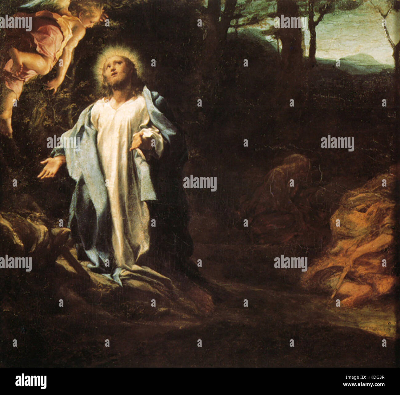 'Orazione nell'Orto' de Correggio est une peinture à l'huile magistrale représentant la prière du Christ dans le jardin de Gethsémani. L'œuvre, conservée à Apsley House, met en valeur l'utilisation caractéristique de Correggio de la lumière et de l'ombre, créant une atmosphère sereine mais dramatique. Banque D'Images