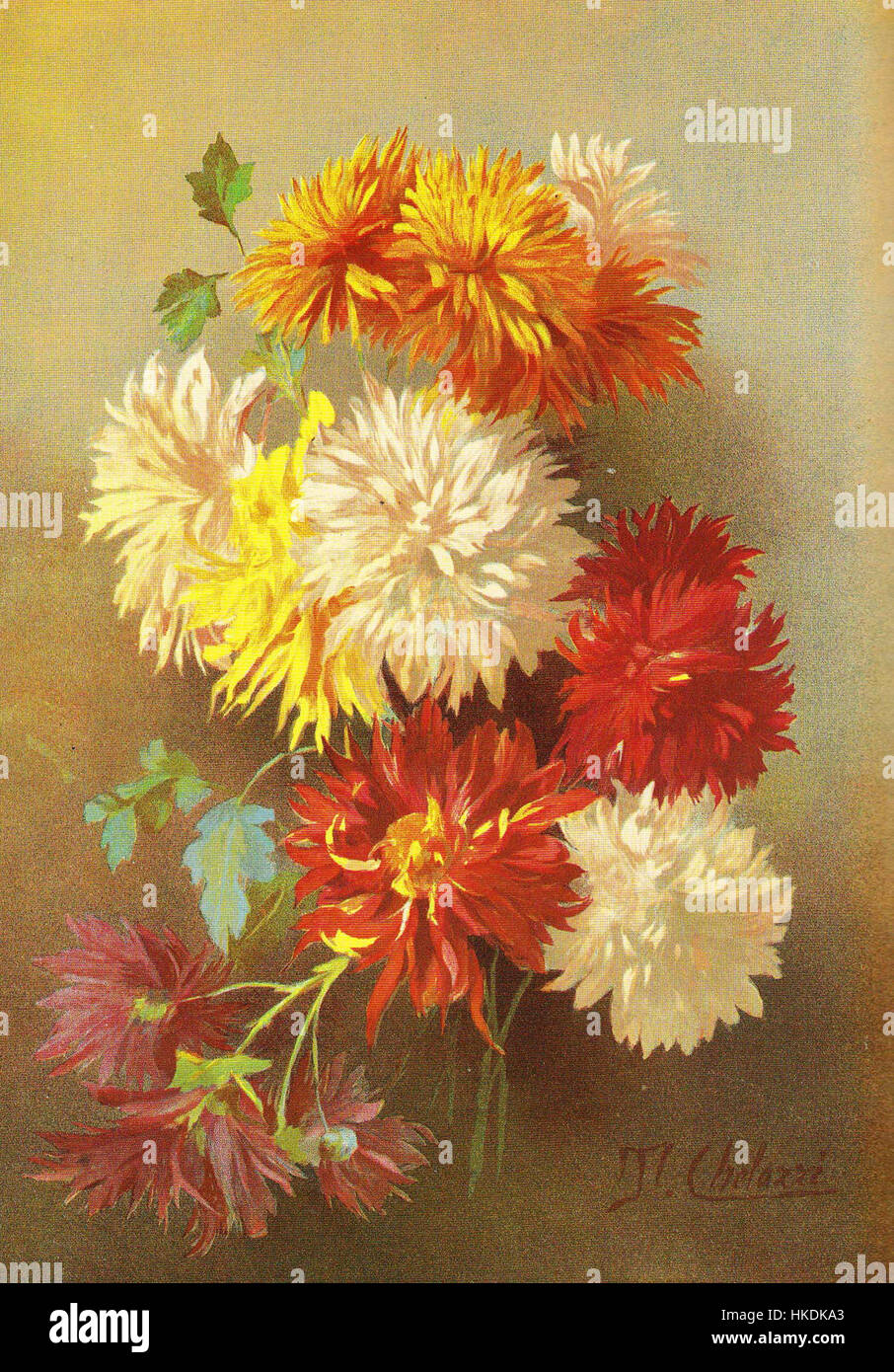 Cette peinture, intitulée « Crisantemi Chelazzi », présente une représentation vibrante de chrysanthèmes, une fleur associée à la beauté, à la nature et au symbolisme dans diverses cultures. Banque D'Images