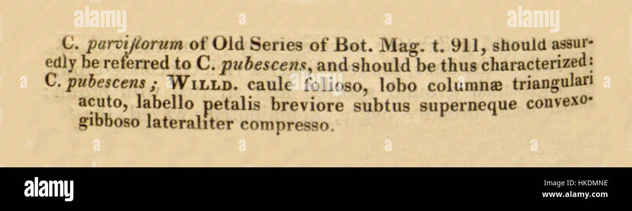 Illustration botanique de Cypripedium parviflorum, communément appelé orchidée de pantoufle de la dame jaune, par Curtis de 1830. Le dessin détaillé met en évidence la forme unique de la plante et sa coloration vibrante, qui fait partie des études botaniques du XIXe siècle. Banque D'Images
