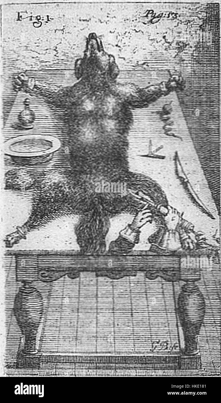 'Clysmatica nova' d'Elsholtz est une illustration scientifique de 1667, détaillant les phénomènes du 'Nouveau monde' tels qu'explorés par les chercheurs européens. Ce travail combine des éléments artistiques et scientifiques, capturant la fascination pour l'exploration et la compréhension des terres nouvellement découvertes. Banque D'Images