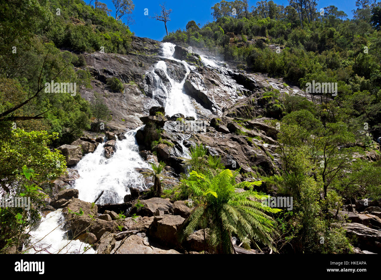 St Columba Falls, Pyengana, Tasmanie Banque D'Images