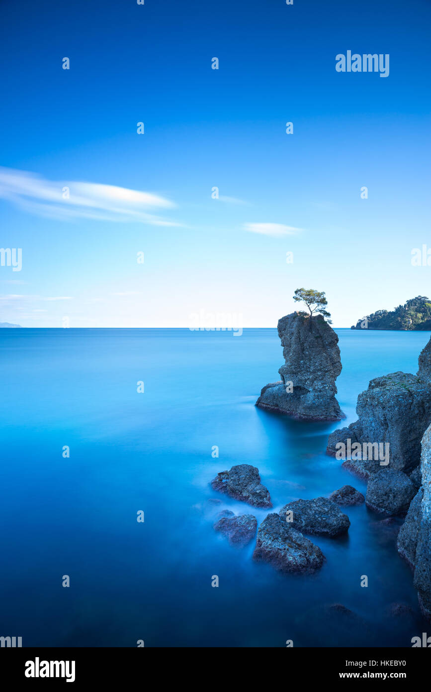 Parc naturel régional de Portofino. Pin solitaire et côtière rock Cliff Beach. Photos à longue exposition. Ligurie, Italie Banque D'Images