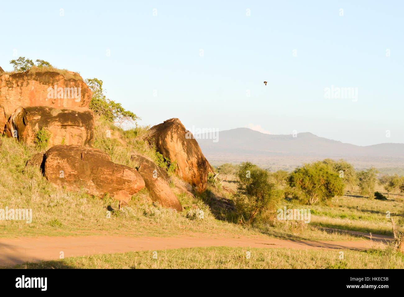 Des blocs de roche rouge dans le parc de Tsavo Ouest au Kenya Banque D'Images