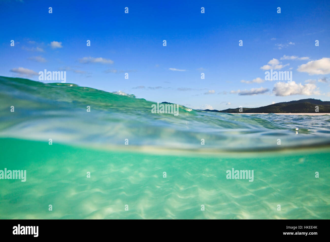 À demi submergée dans l'eau salée vert transparent de mer de corail à la silice blanc Whitehaven Beach sur l'île de Whitsunday de Great Barrier Reef, Austral Banque D'Images