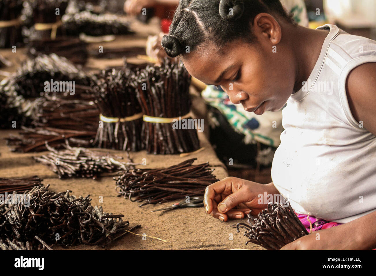 Un travailleur de la vanille malgache fabrication à Sambava, Madagascar le 12 janvier 2017 Banque D'Images