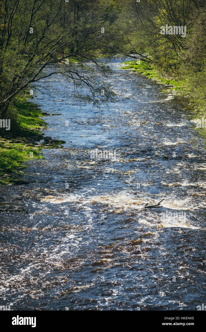 Rivière rapide au début du printemps, vue de point élevé Banque D'Images