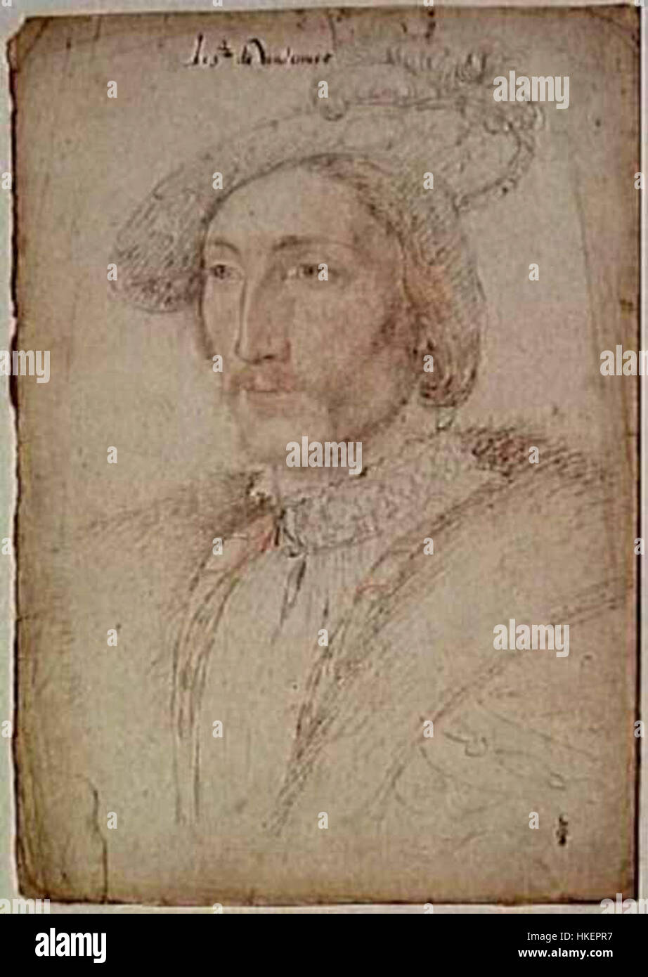 Ce portrait de Nicolas de Lorraine, duc de Mercoeur, montre le noble français en tenue du XVIe siècle. Peint à la Renaissance, il met en valeur le noble patrimoine de la famille Lorraine, une maison influente en France à l’époque, connue pour son rôle dans l’histoire et la politique françaises. Banque D'Images