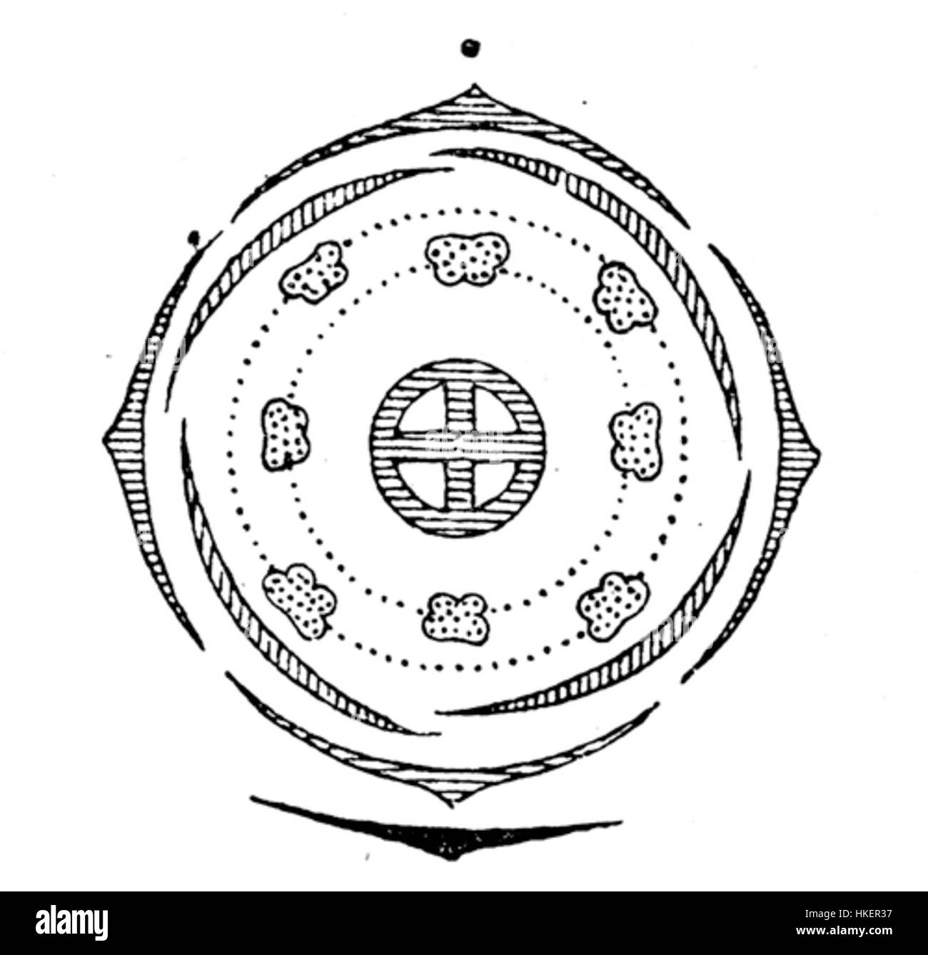 Cette illustration botanique présente un schéma détaillé de la fleur d'Oenothera. Il s'agit d'une étude scientifique capturant la structure et la beauté de cette espèce végétale particulière. Banque D'Images Cette illustration botanique présente un schéma détaillé de la fleur d'Oenothera. Il s'agit d'une étude scientifique capturant la structure et la beauté de cette espèce végétale particulière. Banque D'Images