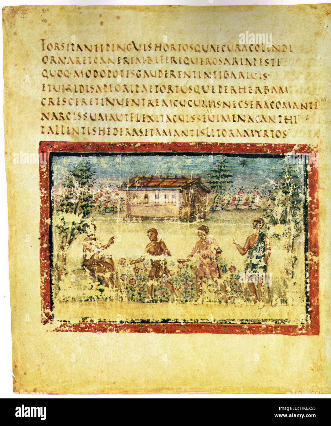 Une ancienne page manuscrite du Vatican Vergil, représentant le vieil homme de Corycus. L'illustration reflète la riche histoire et les détails artistiques typiques des manuscrits de l'époque romaine. Banque D'Images